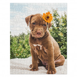 Cute Pittbull Puppy & Flower Jigsaw puzzle