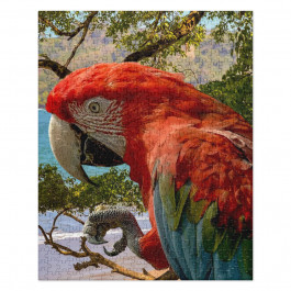 Parrot Perched In Tree Over Beach Jigsaw puzzle