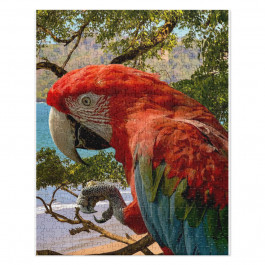 Colorful Parrot Perched In Tree Jigsaw Puzzle